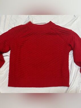 Universal Thread Crimson Crewneck Cable Sweater